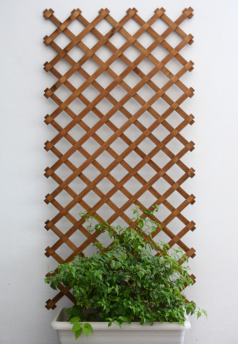 Lattices without frame